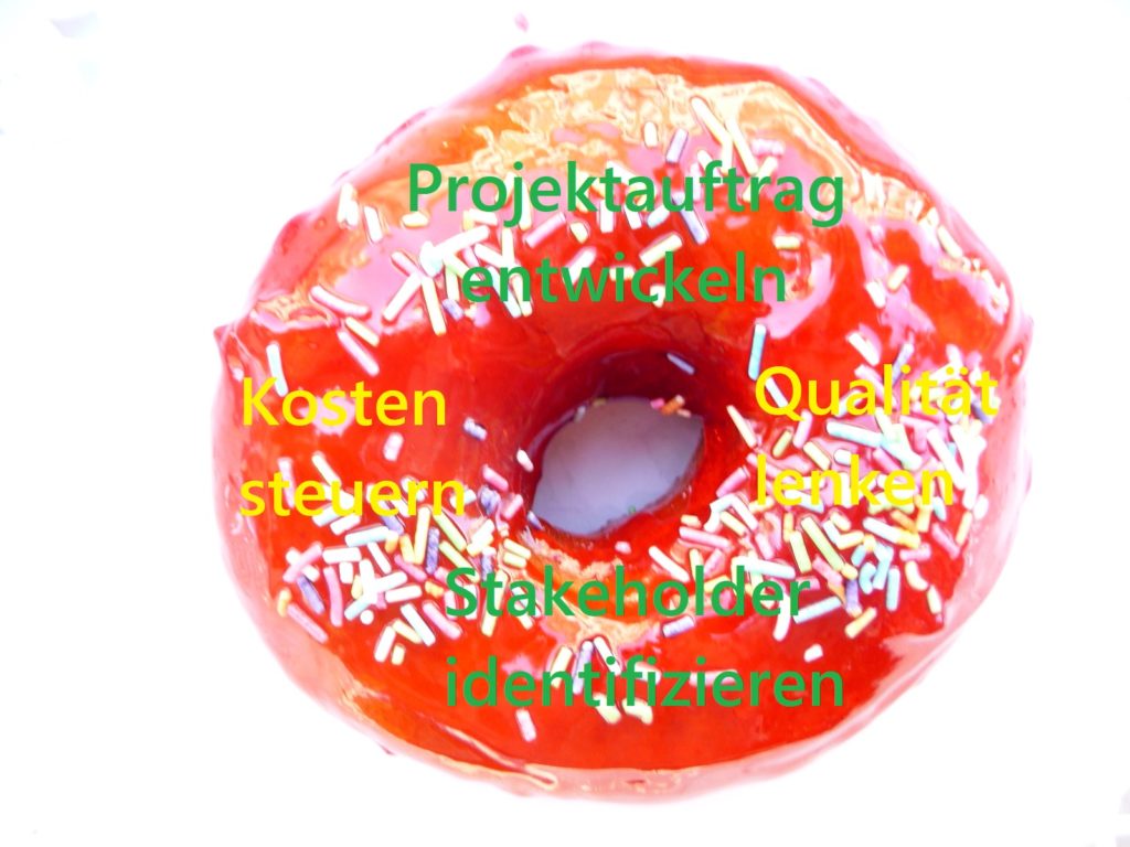 Ein Himbeer Donut, der als Platzhalter für vier Prozesse des PmBok Guides dient.